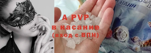 стаф Богданович