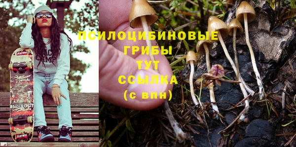 стаф Богданович