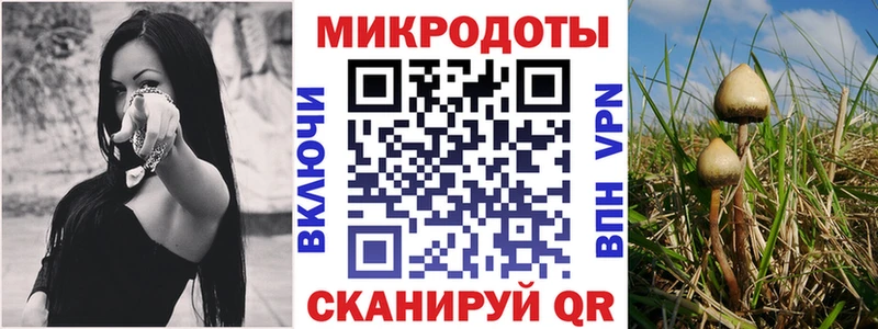Псилоцибиновые грибы мицелий  Новоузенск 