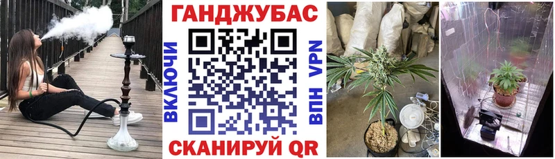 Марихуана индика  Новоузенск 
